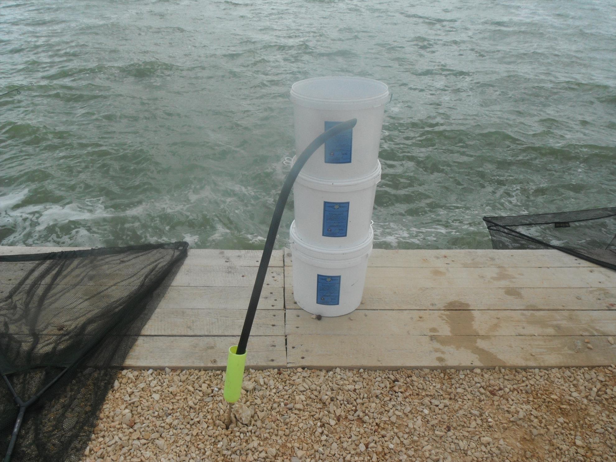 Iunie 2013 - CAMPIONATUL NATIONAL DE TINERET 2013
LOCUL 1 + RECORDUL BALTII CORBU